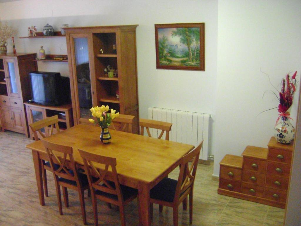Apartamentos Pirineos Ordesa El Pueyo de Araguás Rum bild